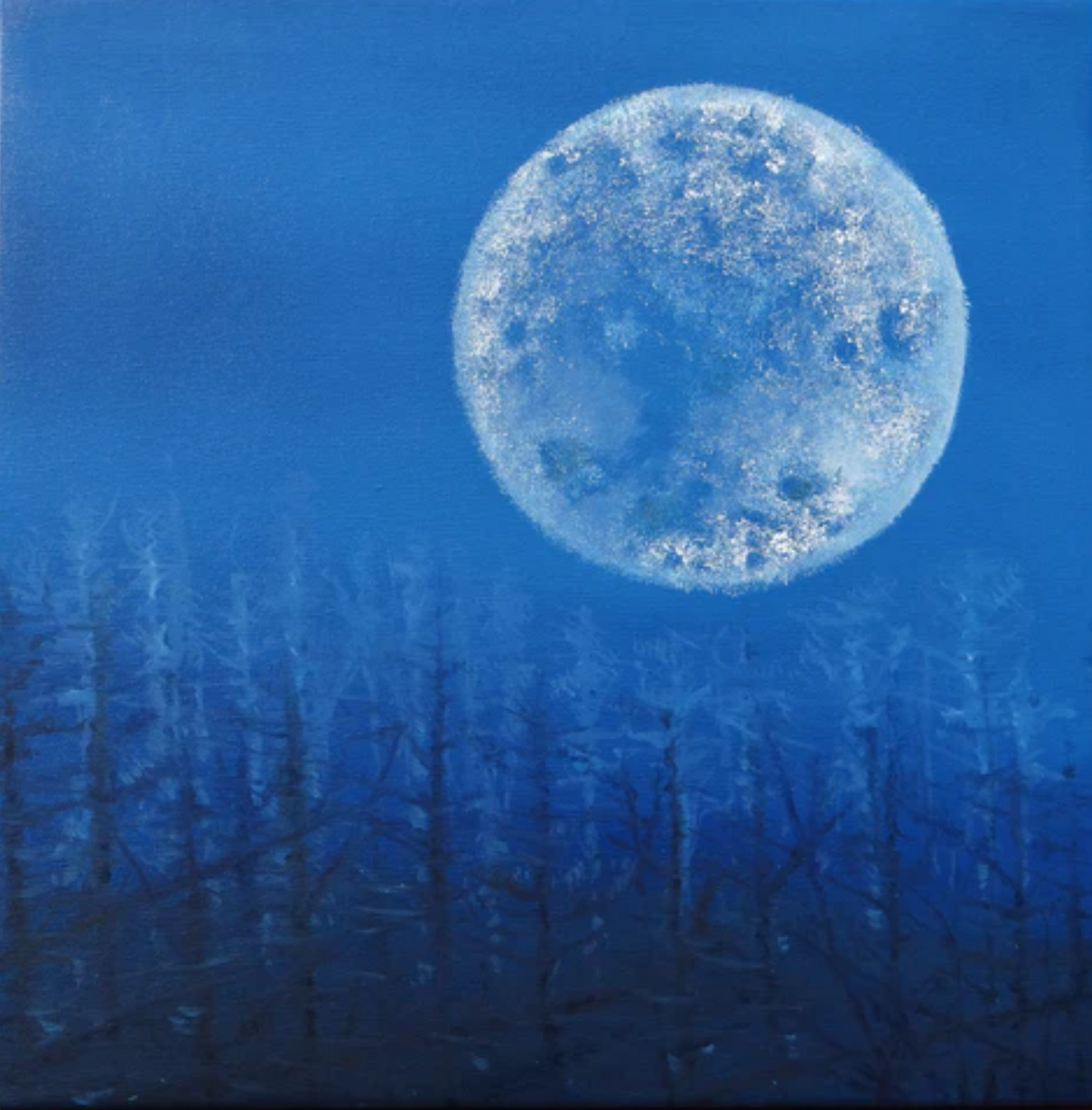 La luna e la terra bruciata      50 x 50 x 4 cm