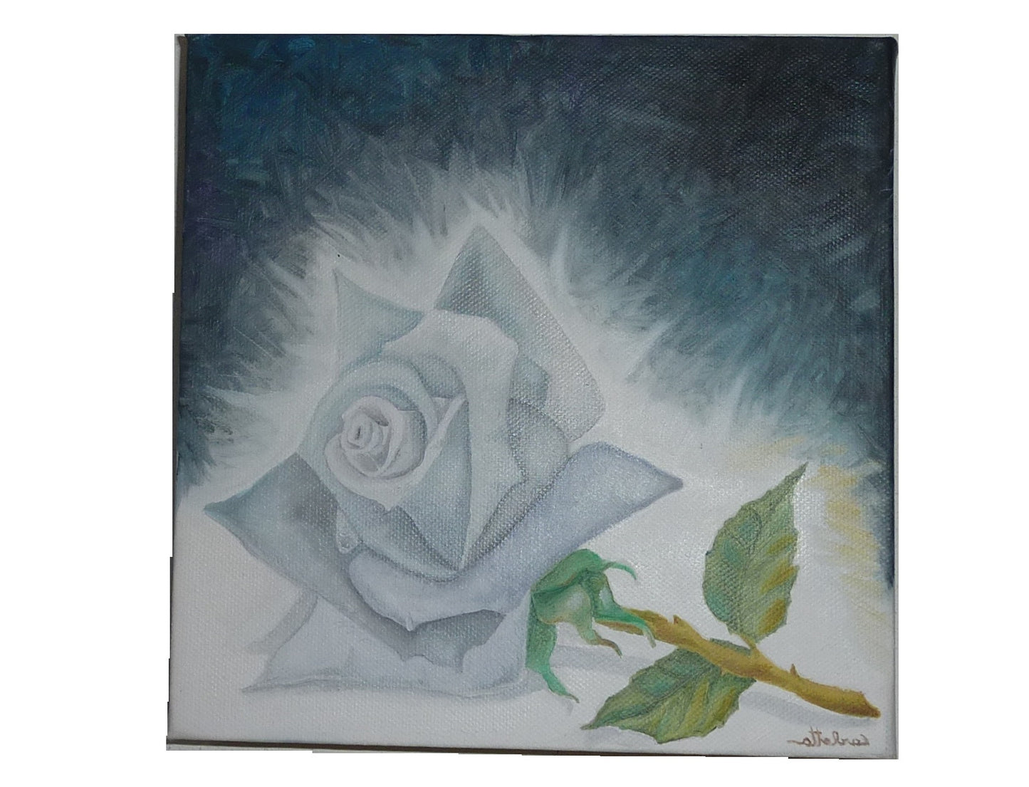 La Rosa Nera della Pazienza (collezione privata)