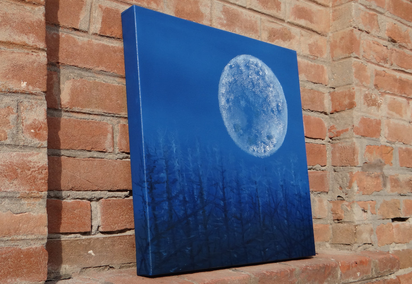 La luna e la terra bruciata      50 x 50 x 4 cm