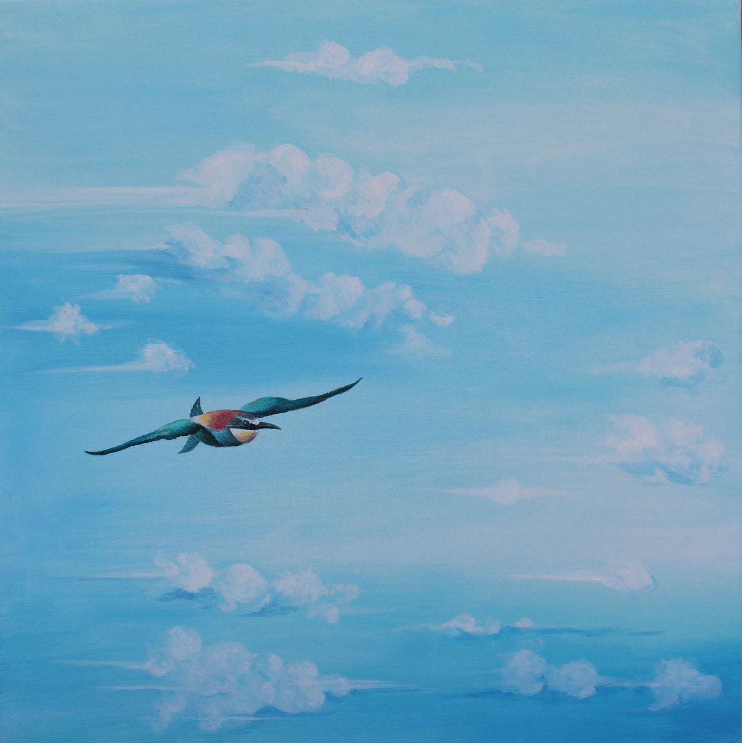 Il Volo del Gruccione